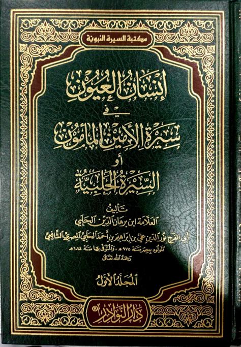 رجل العيون في سيرة الأمين المأمون ...