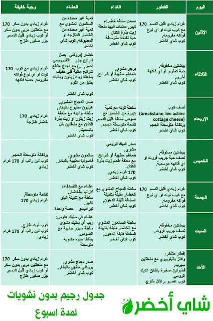 رجيم سريع 40 جنيهاً أسبوعياً .. وأفضل جدول حمية مجربة - العين نيوز