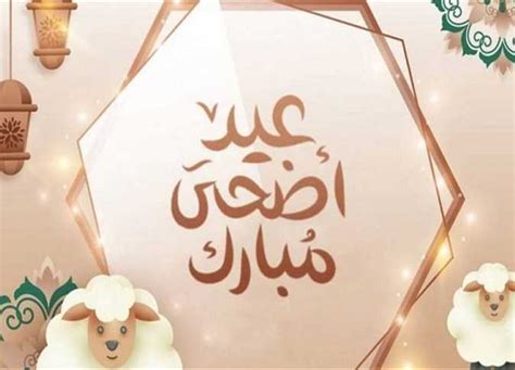 رسائل تهنئة عيد الاضحى 2024 و أروع الرسائل والكلمات للأصدقاء والأقارب - تريك ترند - Trek Mate