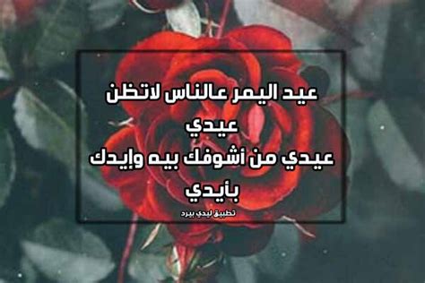 رسائل عيد الاضحى عراقية - ليدي بيرد
