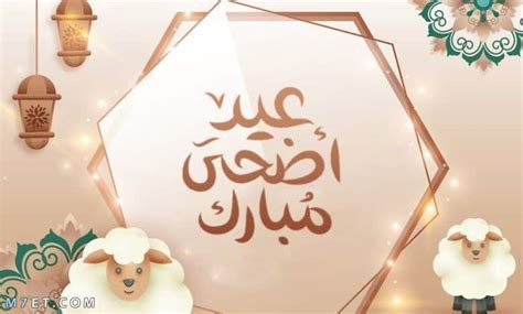 رسائل عيد الاضحى للاصدقاء - ليدي بيرد