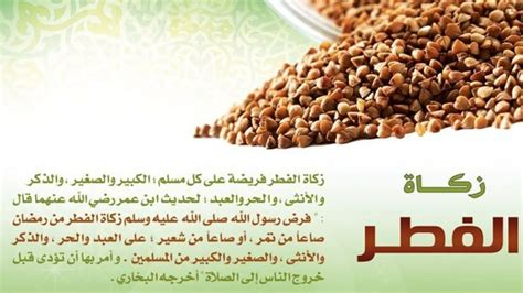 زكاة البقول والفاكهة - ابن باز