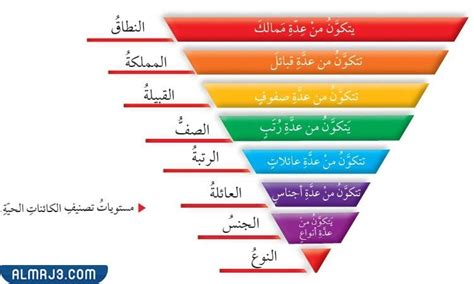 سؤال: صنف الكائنات الحية إلى ست ممالك - Science House سؤال: صنف الكائنات الحية إلى ست ممالك - Science House