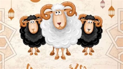 سبب تسمية عيد الاضحى بالعيد الكبير | المرسال