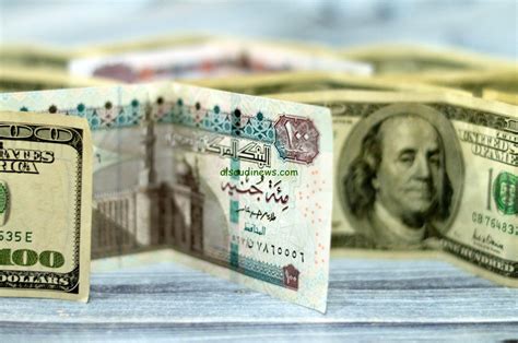 سعر الدولار اليوم الأحد 31 يوليو 2024 في البنوك وفي السوق السوداء - مصر 365