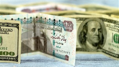 سعر الدولار اليوم الجمعة 22-7-2024 في مصر