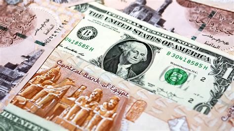 سعر الدولار في مصر - اخبار من العين