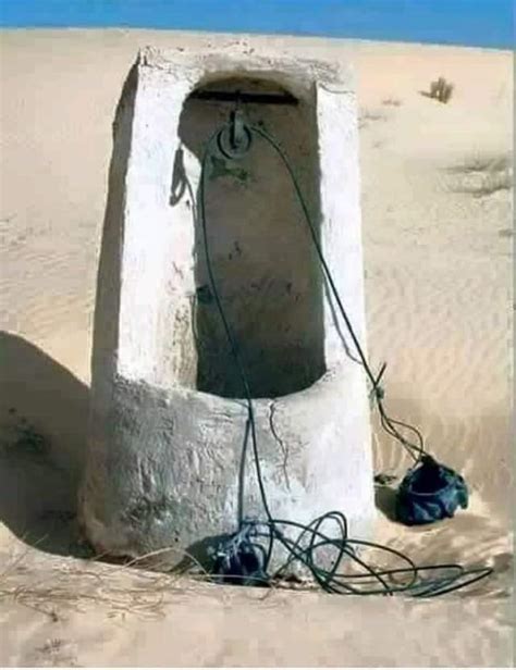شخص ذو مكانة كبيرة - الأورجي العربي