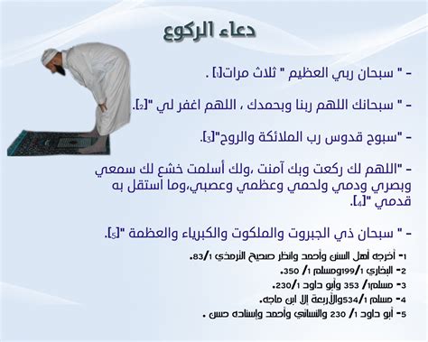صلاة السجود .. 18 كلمة الامتناع عن السجود أثناء تلاوة القرآن عن طريق المواصلات - صدى البلد