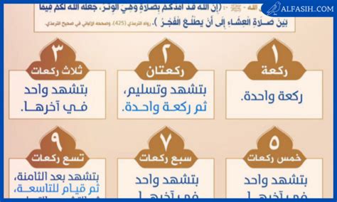 صلاة الوتر، تعريفها، حكمها وزمانها، فضلها، مكان القنوت فيها، أسلوبها.