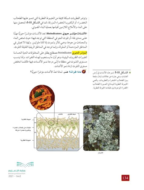 صنف العلماء الفطريات اللزجة المختلطة سابقًا بين الطلائعيات لموقع المختسر