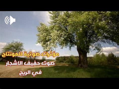 صوت الريح فتح - أفضل إجابة
