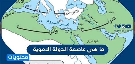 عاصمة الدولة الأموية _ اتجاهات الحلول 2024