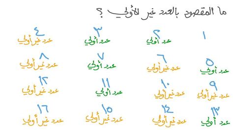 عدد 61 عدد أولي - سؤال الطالب