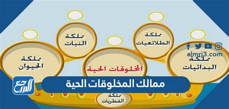 عدد ممالك الكائنات الحية - بيت العلم عدد ممالك الكائنات الحية - بيت العلم