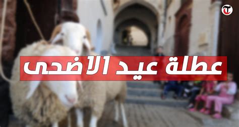 عطلة عيد الاضحى 2024 تونس كم يوم باقي والعطل الرسمية في تونس 2024 خالصة الأجر | القلعة