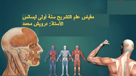 علم التشريح - ويكيبيديا علم التشريح - ويكيبيديا