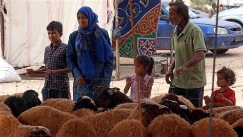عيد الأضحى... عادات تختفي وأخرى تصمد في ليبيا - العربي الجديد عيد الأضحى... عادات تختفي وأخرى تصمد في ليبيا - العربي الجديد