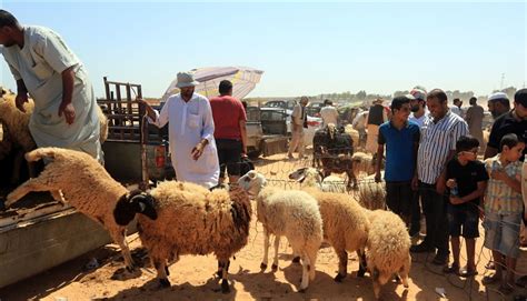 عيد الأضحى في ليبيا 2024 - موقع كيف عيد الأضحى في ليبيا 2024 - موقع كيف