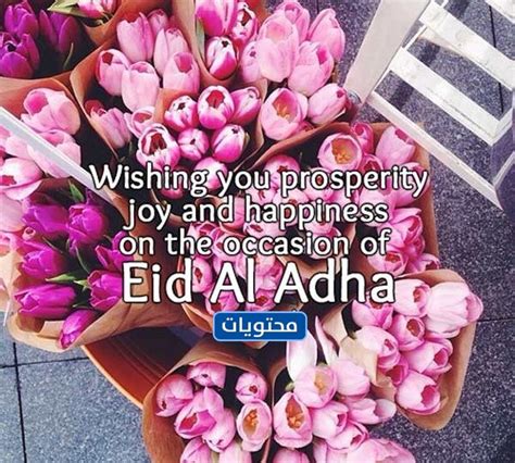 عيد مبارك بالانجليزي مترجمة .. عبارات تهنئة وصور عيد الاضحى بالانجليزية ...
