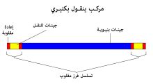 غرز - ويكيبيديا