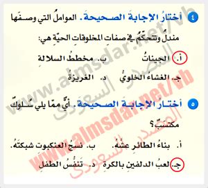 غريزة الحل هي سلوك مكتسب - وسيط الحل غريزة الحل هي سلوك مكتسب - وسيط الحل