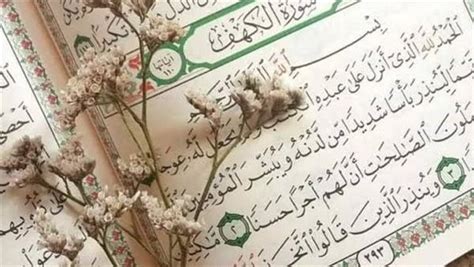 فضل حفظ سورة الكهف - مقالات متنوعة - مقالات