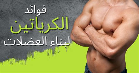 فوائد الكارنيتين لكمال الأجسام - الموسوعة - الموسوعة العربية الشاملة فوائد الكارنيتين لكمال الأجسام - الموسوعة - الموسوعة العربية الشاملة
