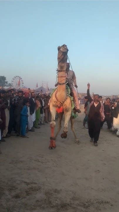 فوجئ فواز برؤية الحقول وحول الحكم إلى جملة سلبية - Back News