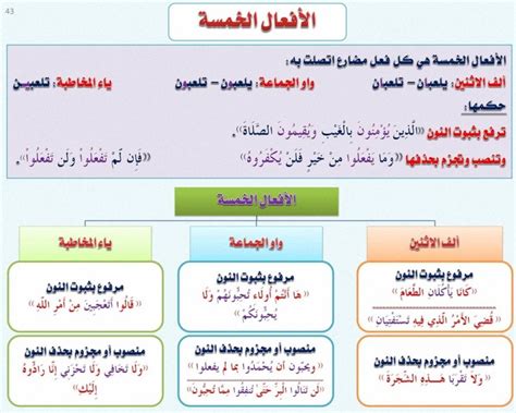 في هذه الفقرة الأفعال الخمسة - منبر المعرفة