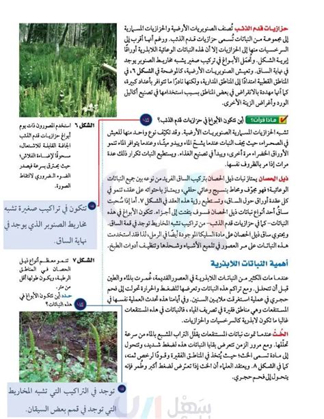قارن الاختلافات بين النباتات والكمبيوتر قارن الاختلافات بين النباتات والكمبيوتر