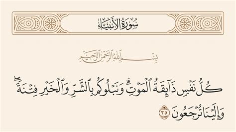 قال تعالى: (كل نفس تذوق الموت)، وفي الآية السابقة: اسألوا حواء.