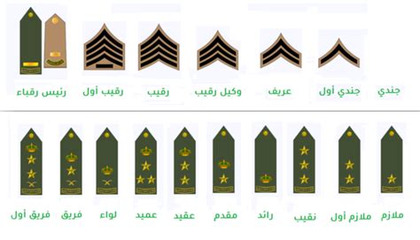 قامت وزارة الدفاع بإتاحة النساء في جميع الرتب العسكرية عام 1444 - الصندوق العربي