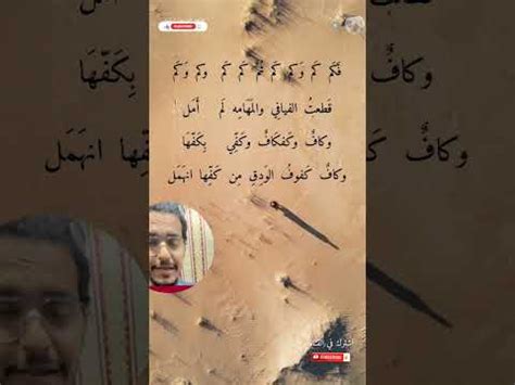 قصيدة انها هي و هي و هي و هي - وحشية