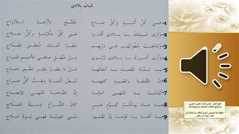 قصيدة تذكرني مكتوبة بالكامل - المصري نت