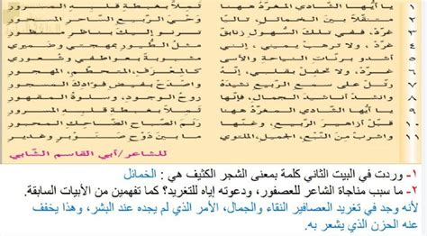 قصيدة شتاء حزينة عصفور - بسام الاول