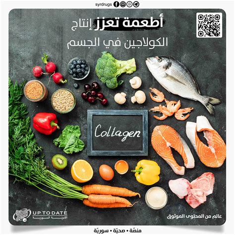 كائنات تستخدم لصنع بعض الأطعمة مثل الخبز والجبن - تذكر
