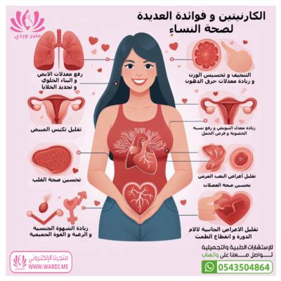 كارنيتين والجنس