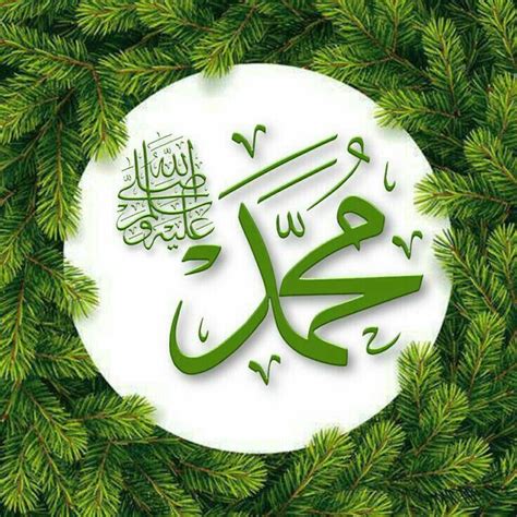 كان النبي صلى الله عليه وسلم يكرمه - موقع المراد