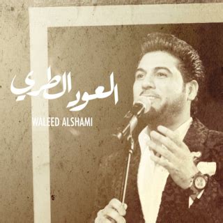 كلمات اغنية العود الطري وليد الشامي