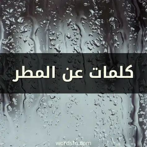 كلمات عن Rain Twitter - جائزة