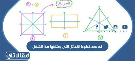كم عدد الأضلاع التي يمتلكها الشكل الثماني - myubi.tv