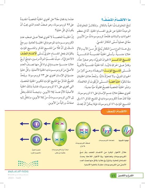 كم عدد الخلايا التي يتم تشكيلها عن طريق الانقسام - حلول الكتاب كم عدد الخلايا التي يتم تشكيلها عن طريق الانقسام - حلول الكتاب