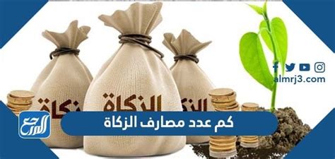 كم عدد بنوك الزكاة _ الحل - اتجاهات 2024