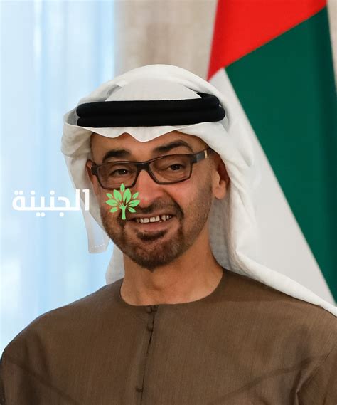 كم يبلغ ارتفاع موقع الشيخ محمد بن زايد - الجنينة