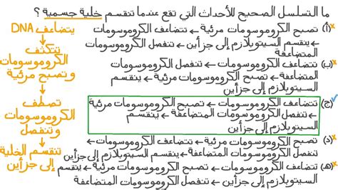 كمصطلح تقني، ينقسم التشعب إلى جزأين فقط - المعايير