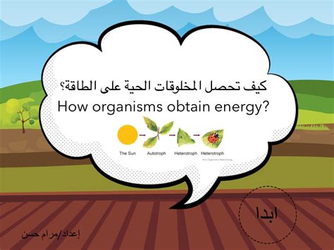 كيف تحصل الخلية على الطاقة التي تحتاجها لأنشطتها؟