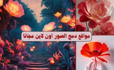 كيف تكتب بالصور اون لاين وبدون برامج - نتاوي