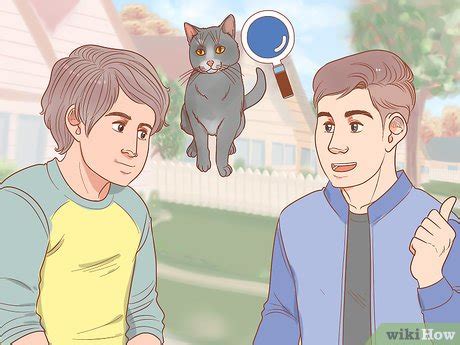 كيفية العثور على قطة ضائعة - wikiHow