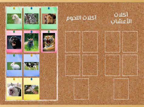 لا تستطيع الحيوانات أن تصنع طعامها - الليث التعليمي لا تستطيع الحيوانات أن تصنع طعامها - الليث التعليمي